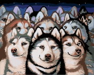 Painting by Numbers - A Pack of Huskies, 50x40 cm, without frame and without turning off the canvas - Painting by Numbers