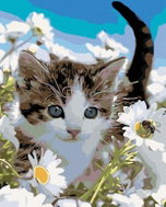 Painting by Numbers - Cat in Daisies, 80x100 cm, without frame and without switching off the canvas - Painting by Numbers