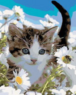 Painting by Numbers - Cat in Daisies, 80x100 cm, stretched canvas on frame - Painting by Numbers