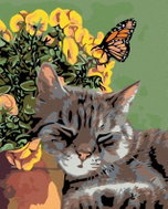 Painting by Numbers - Resting Cat and Butterfly in Flowers, 80x100 cm, without frame and without swi - Painting by Numbers