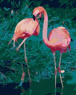 Painting by Numbers - Two Flamingos, 40x50 cm, stretched canvas on frame - Painting by Numbers