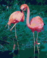 Painting by Numbers - Two Flamingos, 80x100 cm, stretched canvas on frame - Painting by Numbers
