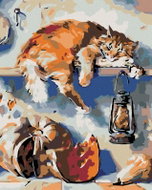 Painting by numbers - Sleeping cat on a shelf in the pantry, 40x50 cm, without frame and without swi - Painting by Numbers