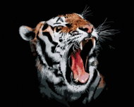 Painting by Numbers - Tiger with open mouth, 50x40 cm, without frame and without canvas switching of - Painting by Numbers