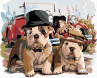 Painting by Numbers - Bulldogs with a Veteran, 50x40 cm, stretched canvas on frame - Painting by Numbers