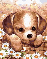 Painting by Numbers - Puppy, 40x50 cm, stretched canvas on frame - Painting by Numbers