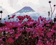 Painting by Numbers - Meadow Flowers in the Mountains, 50x40 cm, stretched canvas on frame - Painting by Numbers