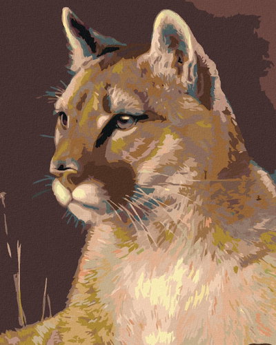 Painting by Numbers - Puma, 80x100 cm, without frame and without canvas switching off - Painting by Numbers - Main image