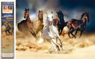 NORIMPEX Stampede 30 × 40 cm - Diamond Painting