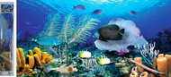 NORIMPEX Ocean 80 × 40 cm - Diamond Painting
