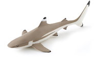 PAPO Blacktip shark - Figure