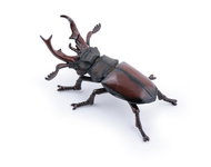 PAPO Roháč - Figure
