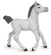 PAPO White Arabian foal - Figure