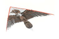 Dragon Flying Eagle Brown - Kite