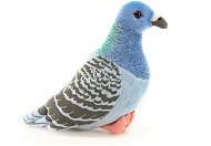 Pigeon - Soft Toy