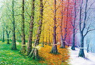 MAGNOLIA Puzzle Threads of Life 1000 pieces - Jigsaw Puzzle