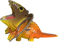 EUGY Agama límcová 3D kartonová skládačka   - 3D Puzzle