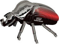 EUGY Brouk goliáš 3D kartonová skládačka   - 3D Puzzle