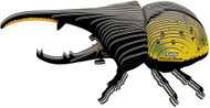 EUGY Brouk herkules 3D kartonová skládačka   - 3D Puzzle