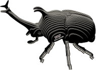 EUGY Brouk nosorožík 3D kartonová skládačka   - 3D Puzzle