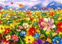 Enjoy Colorful Flower Meadow 1000 pieces - Jigsaw