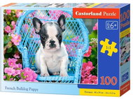 Castorland Štěně francouzského buldočka 100 dílků - Jigsaw Puzzle
