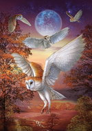 ART PUZZLE Puzzle Night Owls 1000 pieces - Jigsaw Puzzle