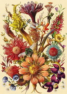 INTERDRUK Puzzle Flowers: the Fairy Bouquet 1000 pieces - Jigsaw Puzzle