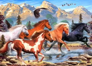 ALIPSON Puzzle Wild and Free 500 pieces - Jigsaw Puzzle
