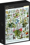 Grafika Ilustrace z encyklopedie Larousse: Léčivé rostliny 1000 dílků - Jigsaw Puzzle