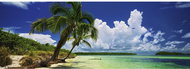 HEYE Panoramic Puzzle Palm Paradise 2000 pieces - Jigsaw Puzzle
