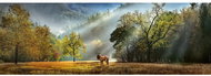 HEYE Morning Greetings Panoramic Puzzle 1000 pieces - Jigsaw Puzzle