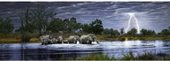 HEYE Elephant Herd Panorama Puzzle (Botswana) 2000 pieces - Jigsaw Puzzle
