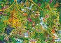 HEYE Puzzle Hluboká džungle 2000 dílků - Jigsaw