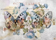 HEYE Puzzle Metamorphosis: Wings II 1000 pieces - Jigsaw Puzzle