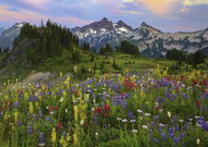 HEYE Puzzle Tatoosh Mountains 2000 pieces - Jigsaw Puzzle