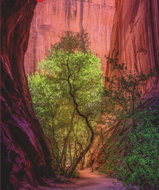 HEYE Puzzle Power of Nature: Singing Canyon 1000 pieces - Jigsaw Puzzle