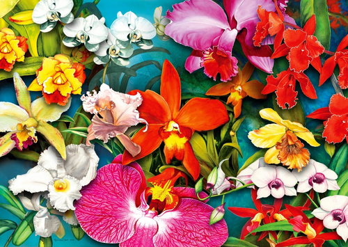 ENJOY Jungle Orchid Puzzle 1000 pieces - Jigsaw Puzzle - Main image