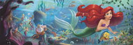 CLEMENTONI Panoramic Little Mermaid 1000 pieces - Jigsaw Puzzle