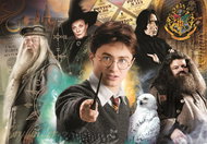 CLEMENTONI Harry Potter: Učitelé 1000 dílků - Puzzle