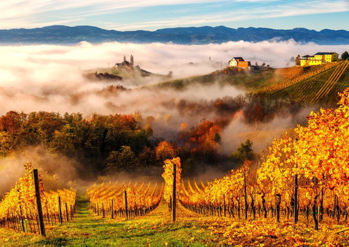 ENJOY Puzzle On the vineyard 1000 pieces - Jigsaw Puzzle - Main image