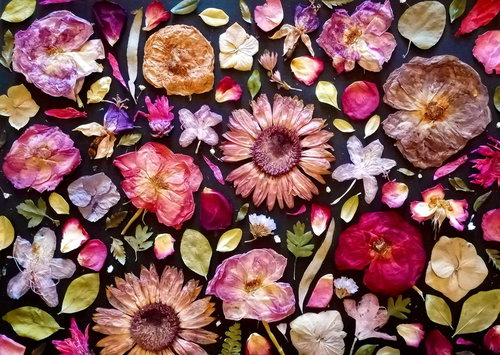 ENJOY Puzzle Pink 1000 pieces - Jigsaw Puzzle - Main image