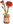 Red Carnation