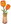Orange Tulip