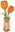 Orange Tulip