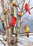 COBBLE HILL Puzzle Birds in winter 1000 pieces - Jigsaw Puzzle