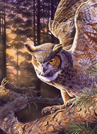 COBBLE HILL Evening Hunter Puzzle 1000 pieces - Jigsaw Puzzle