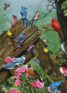 COBBLE HILL Forest Birds Puzzle 1000 pieces - Jigsaw Puzzle