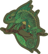 Coolkousky Wooden solo-track puzzle in box, 66 pieces, 21 × 25 cm, Chameleon - Wooden Puzzle