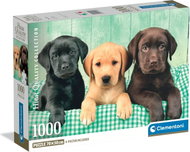 Clementoni Tři labradoři 1000 dílků - Jigsaw Puzzle